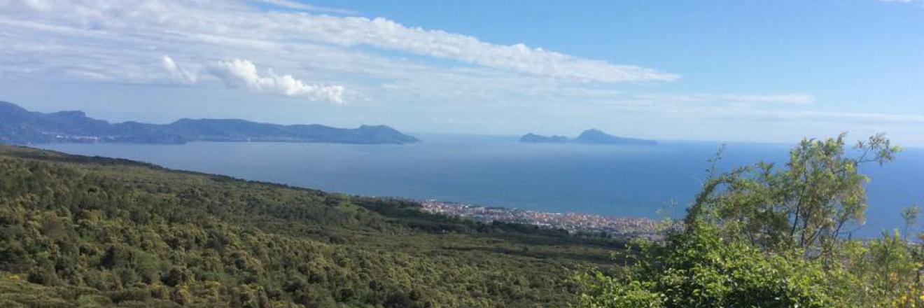 Museum of the Royal Vesuvius Observatory