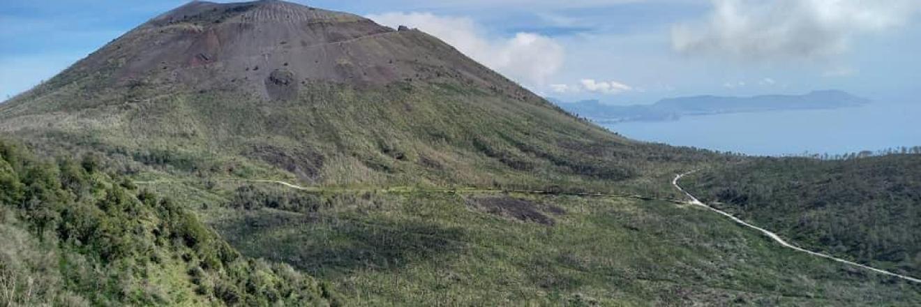 Vesuvio Natura da esplorare