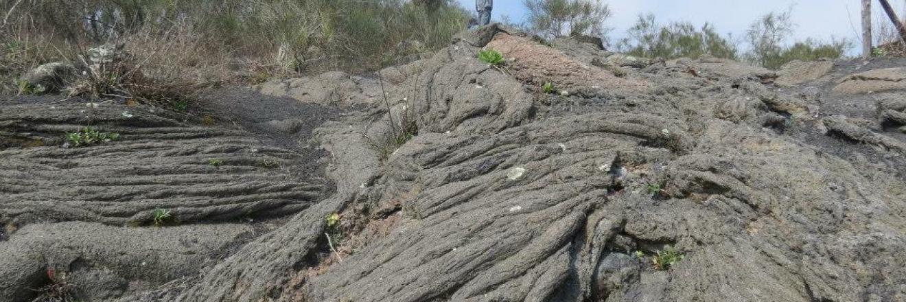 Vesuvio Natura da esplorare