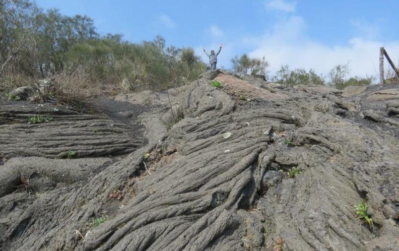 Vesuvio Natura da esplorare