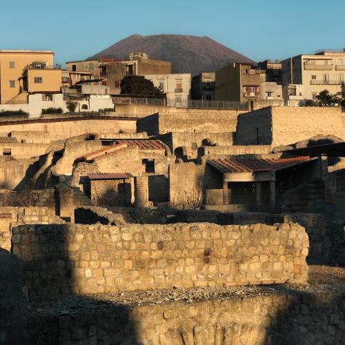 Articolo del     Archaeological Park of Herculaneum
